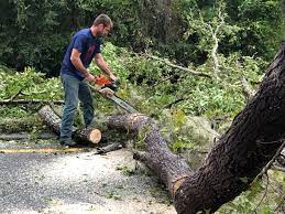 Best Commercial Tree Services  in Conley, GA